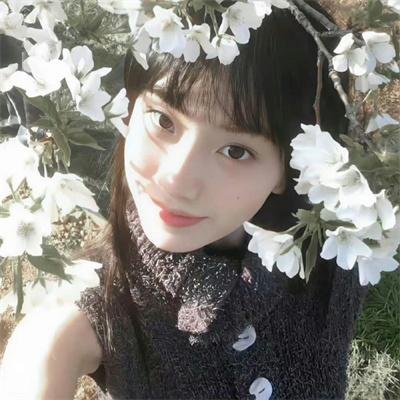 炮灰
